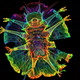 Illustration for article titled Just another reason why tardigrades are the best micro-animals